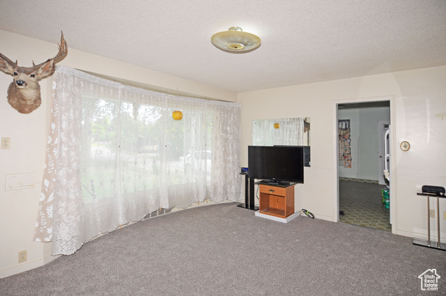 Photo 3 for MLS #2095233 at 1160 E 12th St