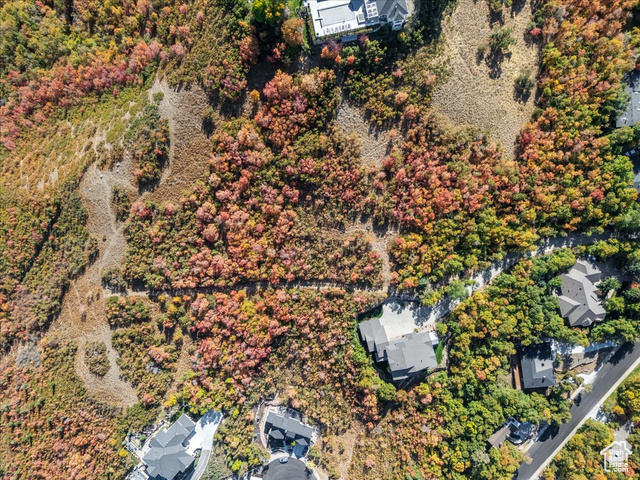 Photo 82 for MLS #2095245 at 2679 Wood Hollow Way