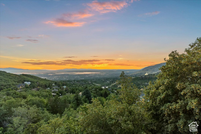 Photo 67 for MLS #2095245 at 2679 Wood Hollow Way