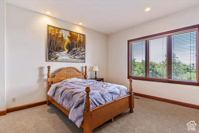 Photo 57 for MLS #2095245 at 2679 Wood Hollow Way