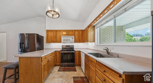Photo 9 for MLS #2095426 at 10148 S Roseboro Rd