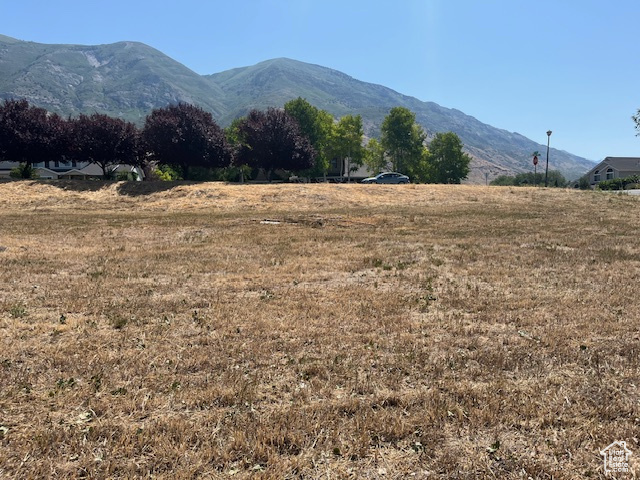 2095489.jpg