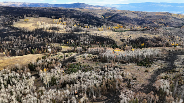 123  TBD MONROE CANYON RD, Monroe UT 84754