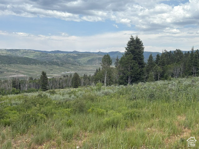 2095725.jpg
