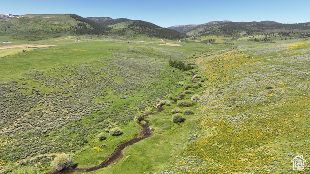 , Montpelier ID 83254