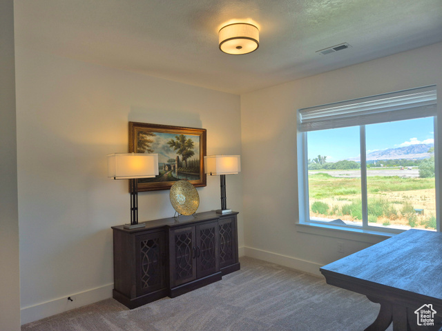 Photo 27 for MLS #2095755 at 352 W Ropelato Dr