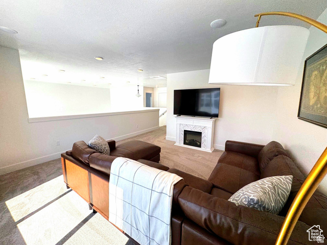 Photo 21 for MLS #2095755 at 352 W Ropelato Dr