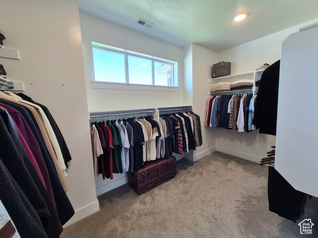 Photo 17 for MLS #2095755 at 352 W Ropelato Dr