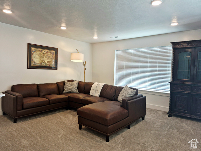 Photo 20 for MLS #2095755 at 352 W Ropelato Dr