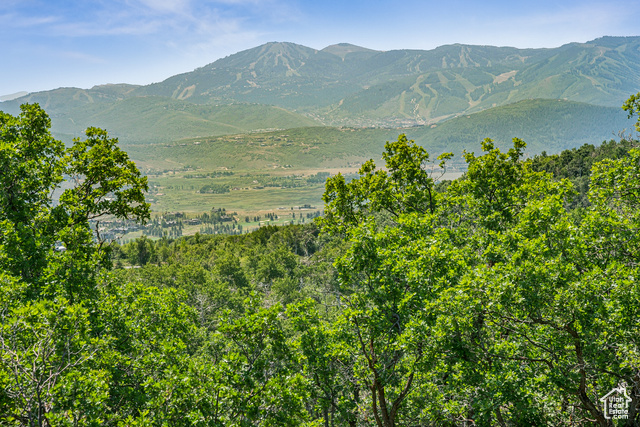 1520  PRESERVE DR, Park City UT 84098