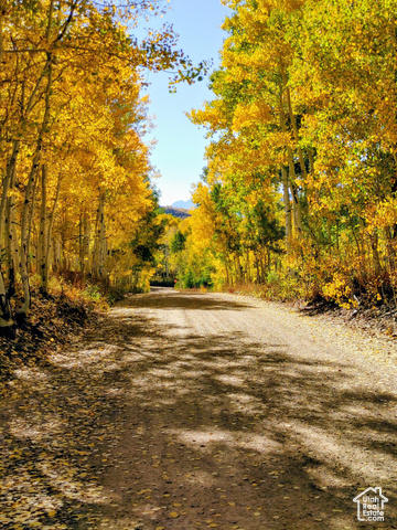 11457 E MARIGOLD LN, Heber City UT 84032