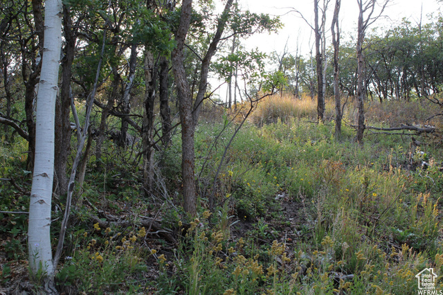 1421 S BEAVER BENCH, Heber City UT 84032
