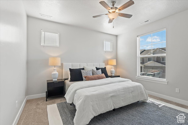 Photo 10 for MLS #2096196 at 1806 W Newcastle Ln #203