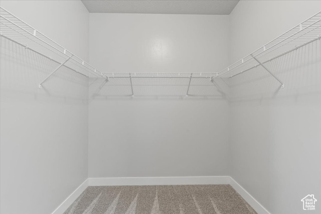 Photo 21 for MLS #2096196 at 1806 W Newcastle Ln #203