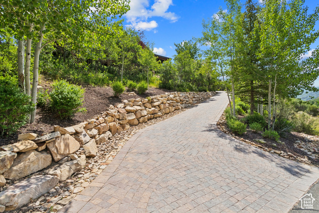 Photo 89 for MLS #2096217 at 2260 Bear Hollow Dr