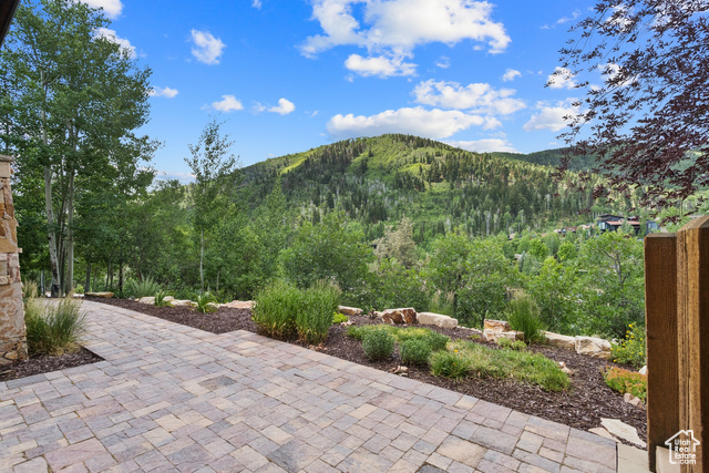 Photo 101 for MLS #2096217 at 2260 Bear Hollow Dr