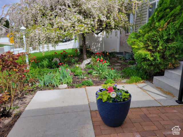Photo 31 for MLS #2096338 at 5149 W Village Wood Dr