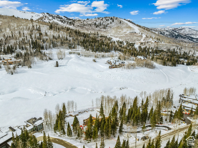 Photo 67 for MLS #2096446 at 263 White Pine Canyon Rd