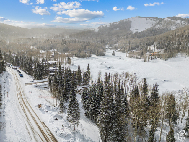 Photo 70 for MLS #2096446 at 263 White Pine Canyon Rd
