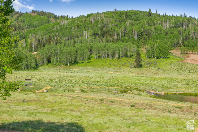 Photo 53 for MLS #2096446 at 263 White Pine Canyon Rd