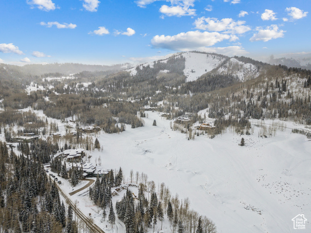 Photo 71 for MLS #2096446 at 263 White Pine Canyon Rd