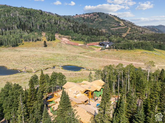 Photo 7 for MLS #2096446 at 263 White Pine Canyon Rd