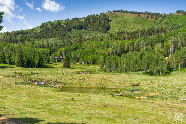 Photo 55 for MLS #2096446 at 263 White Pine Canyon Rd
