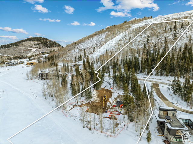 Photo 62 for MLS #2096446 at 263 White Pine Canyon Rd