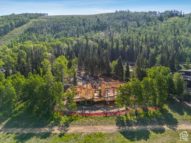 Photo 45 for MLS #2096446 at 263 White Pine Canyon Rd