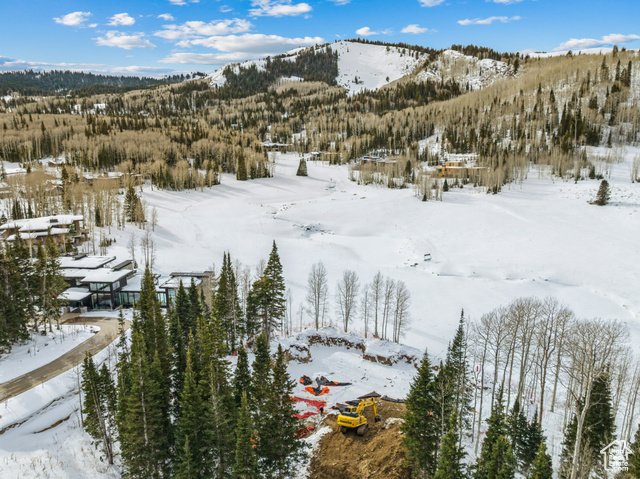 Photo 64 for MLS #2096446 at 263 White Pine Canyon Rd