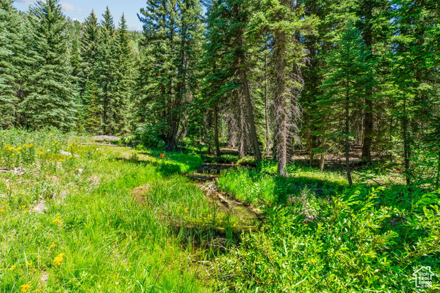 Photo 5 for MLS #2096666 at 9530 Pine Way