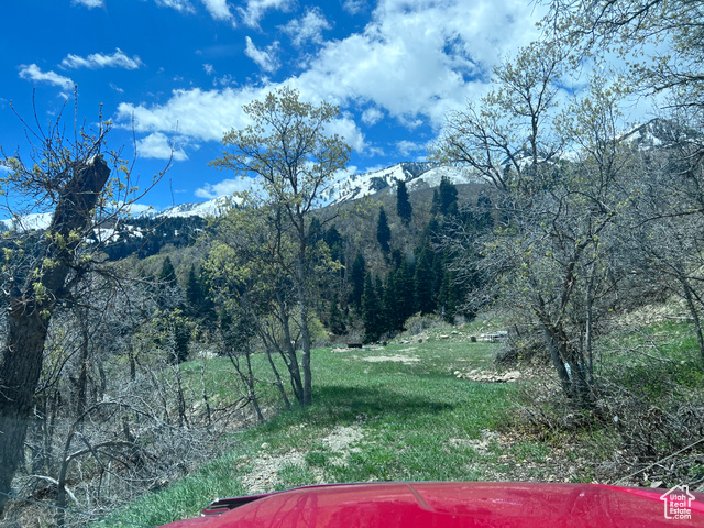 162 N UPPER OAKWOOD DR, Springville UT 84663