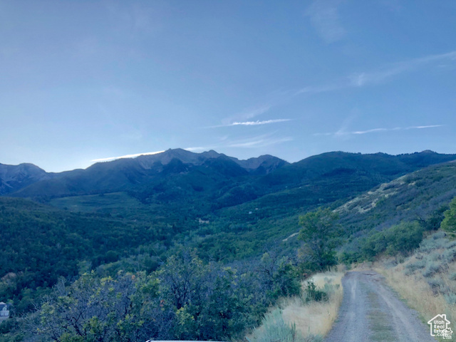 4  SPRING MOUNTAIN DR, Springville UT 84663