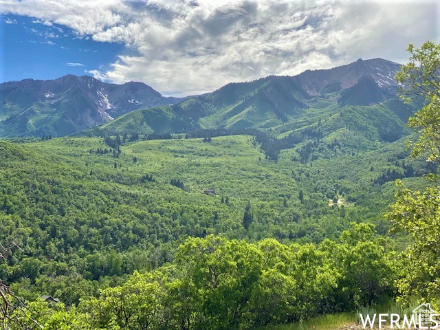9 E SPRING MOUNTAIN DR, Springville UT 84663
