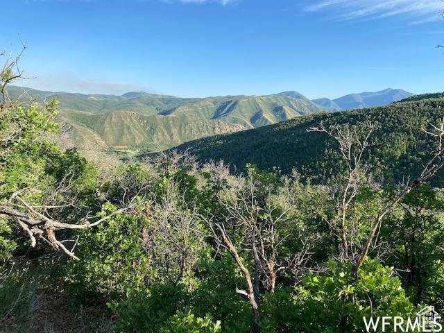 11 E SPRING MOUNTAIN DR, Springville UT 84663