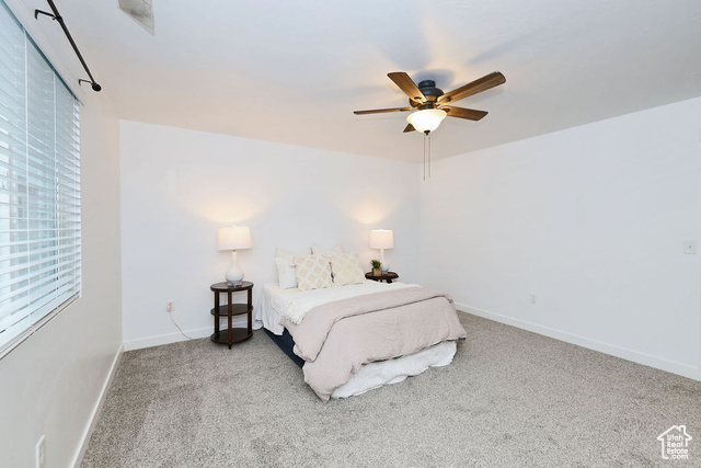 Photo 20 for MLS #2097141 at 7871 S Fauna Ln
