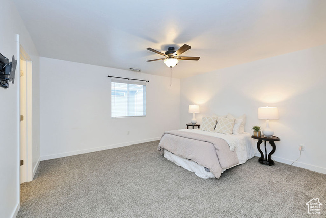 Photo 18 for MLS #2097141 at 7871 S Fauna Ln