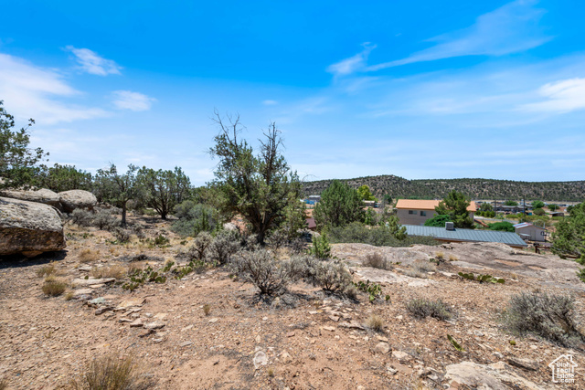 Photo 26 for MLS #2097293 at 1387 N Mount Zion Dr