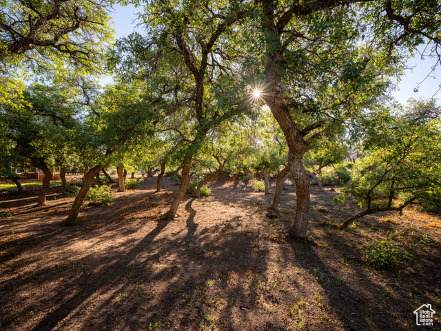 Photo 68 for MLS #2097429 at 70 Desert Solitaire Rd