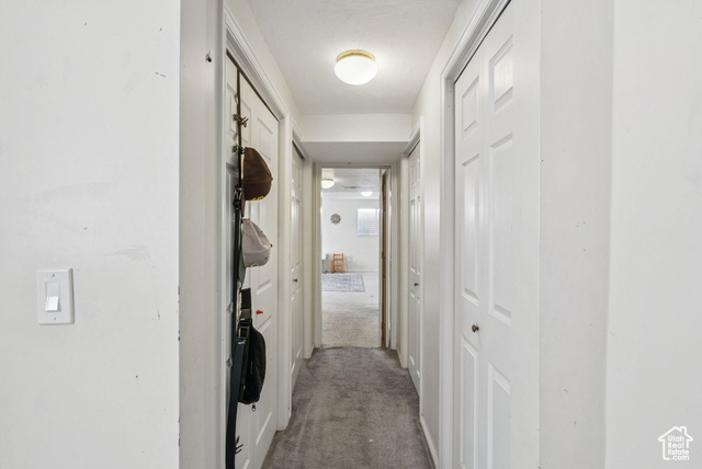 Photo 25 for MLS #2097450 at 9355 S Peruvian Dr