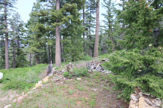 Photo 18 for MLS #2097469 at 6240 W Grizzly Ln