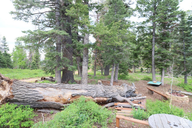Photo 14 for MLS #2097469 at 6240 W Grizzly Ln