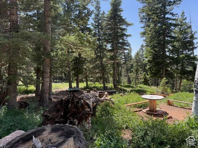 Photo 11 for MLS #2097469 at 6240 W Grizzly Ln