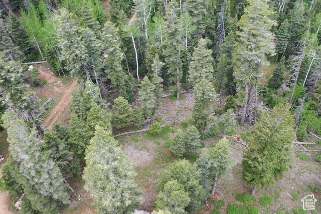 Photo 23 for MLS #2097469 at 6240 W Grizzly Ln