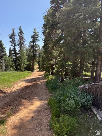 Photo 10 for MLS #2097469 at 6240 W Grizzly Ln