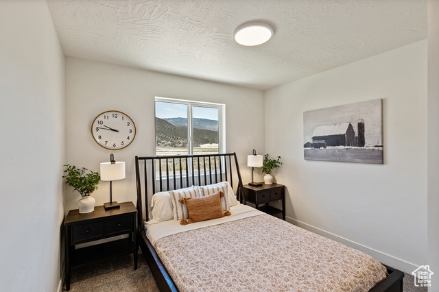 Photo 24 for MLS #2097594 at 2539 W Black Sage Dr