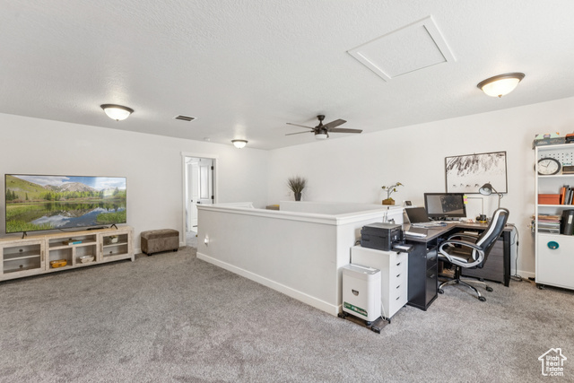 Photo 38 for MLS #2097777 at 1076 S Meadow Walk Ln
