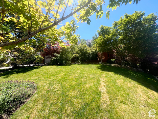 Photo 35 for MLS #2097847 at 3550 E Oakview Dr