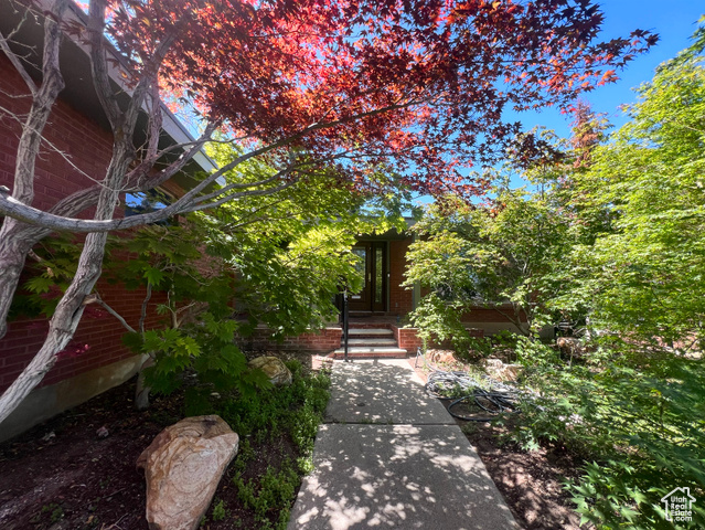 Photo 47 for MLS #2097847 at 3550 E Oakview Dr