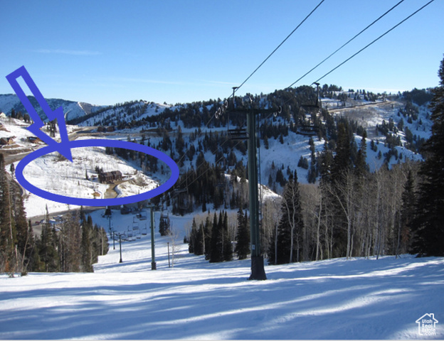 Photo 3 for MLS #2097957 at 6560 N Wolf Creek Dr #208